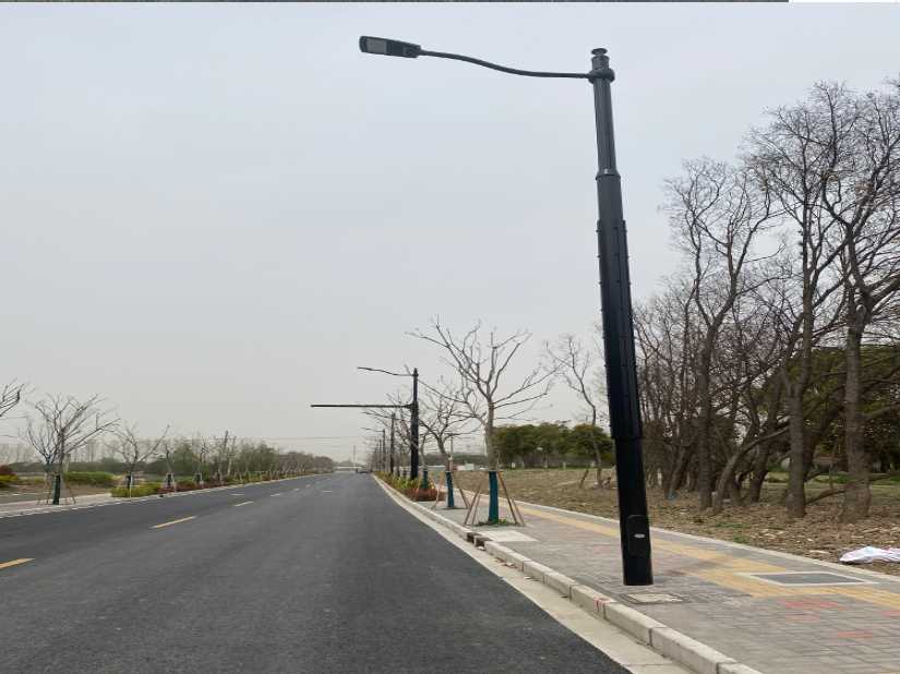 平度市上海综合杆 太阳能路灯工程